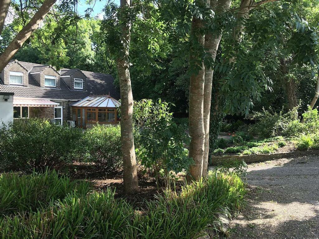 Bedrock Lodge Winterbourne Eksteriør bilde
